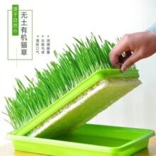 ԥ�� ؈�ݷN�� ������ ��ƤС���� ʳ��ĥ��С���N��  ��~ι����