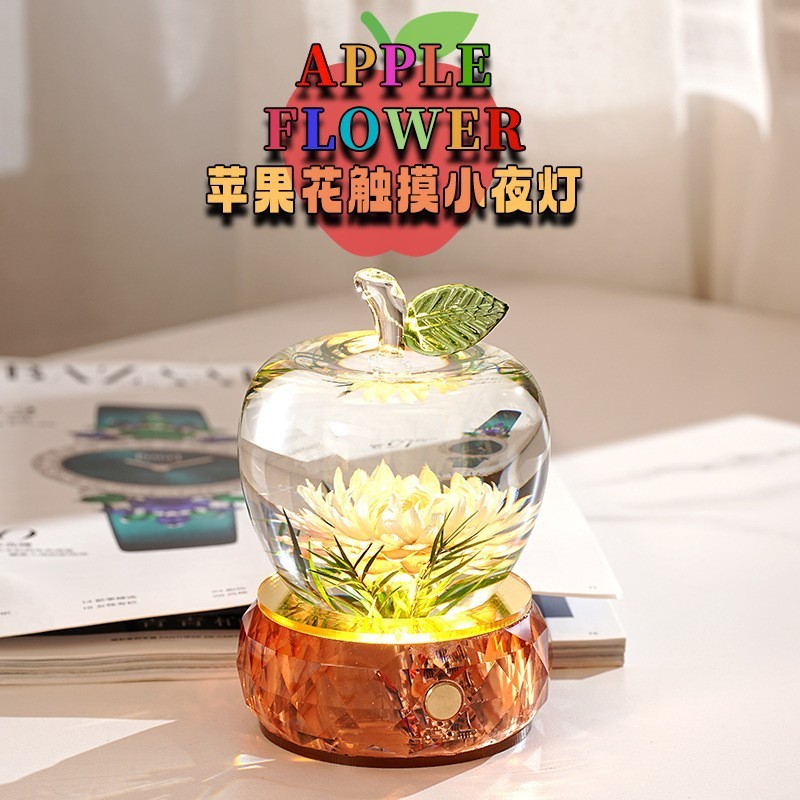 平安夜创意水晶苹果小夜灯树脂内埋标本桌面摆件生日礼物送闺蜜|undefined