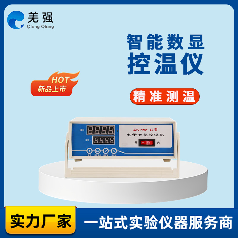 电子智能控温仪实验室数显电子节能温控仪ZNHW-II智能温度控制仪