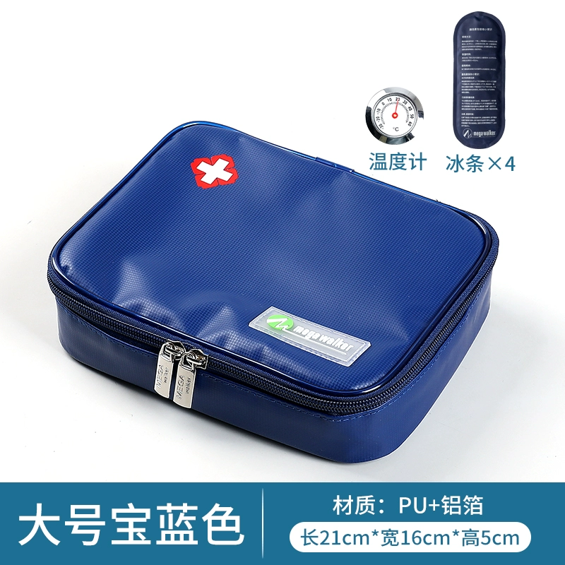 Cooled handheld travel ice bag, small thermal bag
