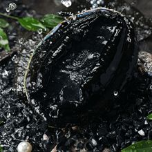 活冻黑金鲍澳大利亚一头鲍澳洲新西兰生冻大鲍鱼刺身日料一件代发