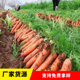 ���}�����＾�͟Ắˮ���߲��}�����Դ����ļ���@�t�}���߲���2