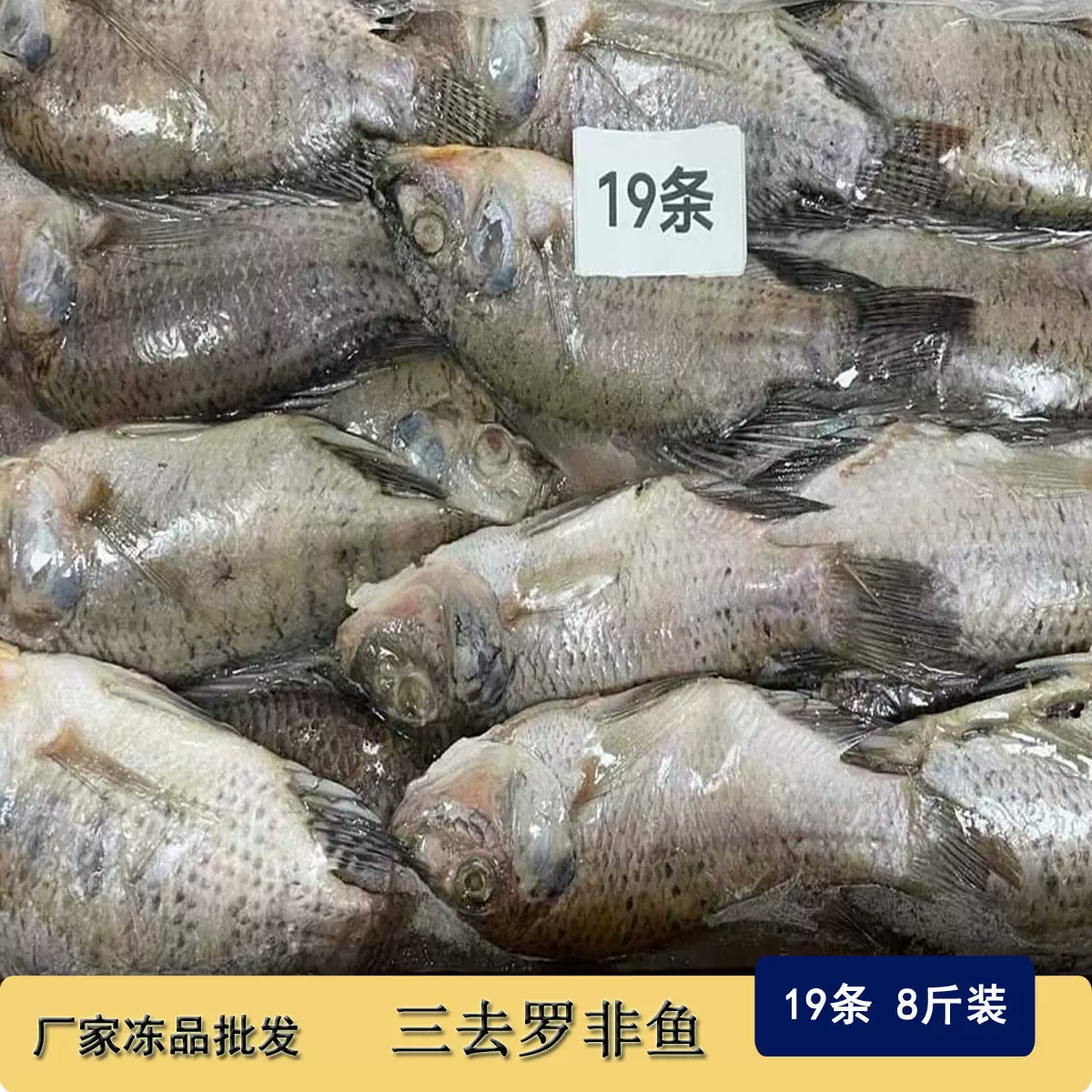 冷冻三去罗非鱼批发 新鲜免处理19条 8斤装 餐饮冻品整箱商用