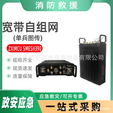 ZXIMCU sMesh390ԽMW(αD)oD̨DO