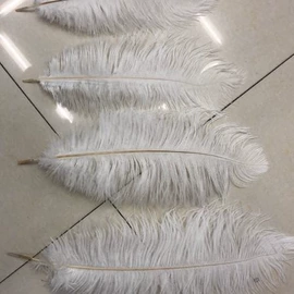 羽毛、羽绒;皮毛工艺品;耳环