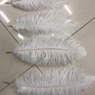 �S��ֱ��35-40cmܛ�U�r�Bë��ɫ��ɫ�F؛���l��ë��q