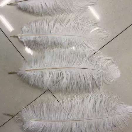 厂家直供35-40cm软杆鸵鸟毛白色黑色现货批发羽毛羽绒