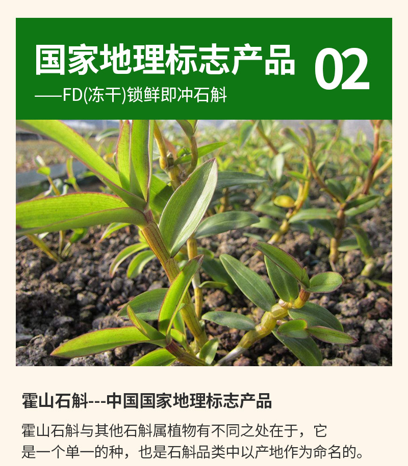 FD Freeze-Dried Shi Hu (Dendrobium) Mini-Jar Tea Gift Box — 5g × 10 Jars, Huoshan Dendrobium specifications