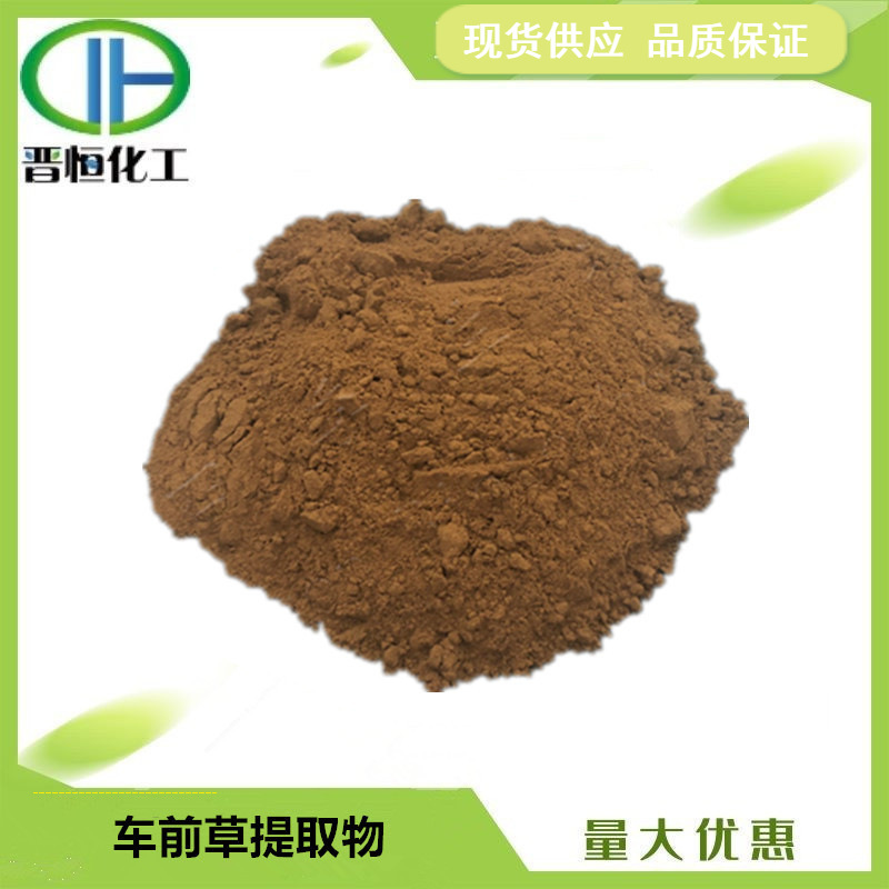 车前草提取物比例提取水溶原料粉末 1KG起订 现货