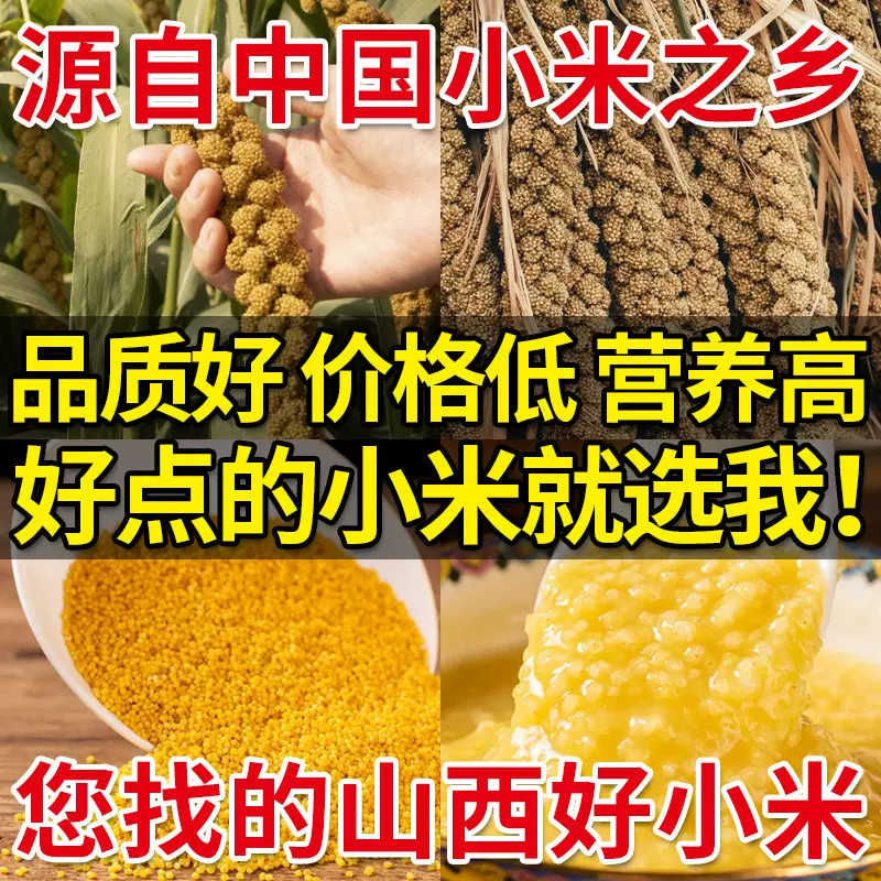 黄小米500g批发散装山西新米农家香糯小米五谷杂粮粥粗粮 汾都香