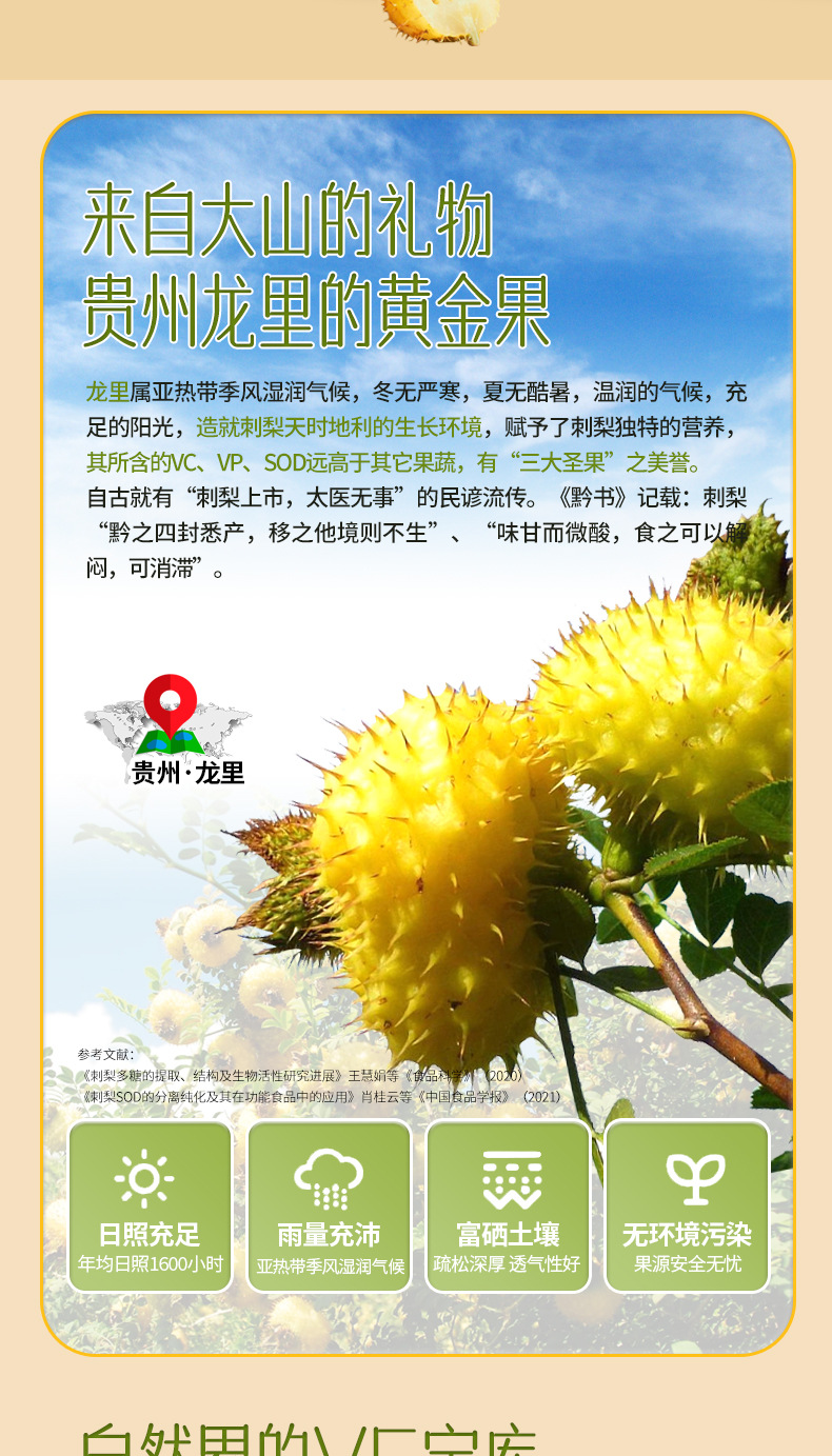 Goji Berry Original Juice Concentrate Ready to Drink 500ml Gift Box Ningxia Wolfberry in use