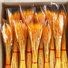 批发黄金麦子麦穗干花花束开业花篮大麦装饰拍照道具批发仿真造景