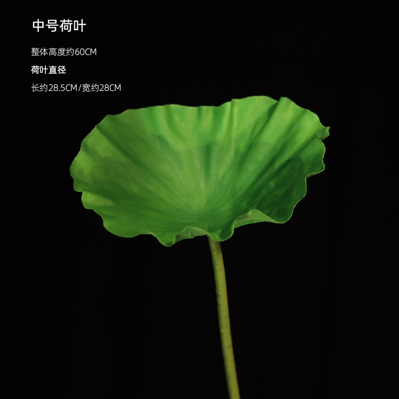 Mediano Lotus Leaf
