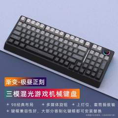 クロスボーダー在庫あり 三モード98キー有線メカニカルキーボード ホットスワップ対応 ミックスライト ビジネスオフィス用コンピュータ周辺機器