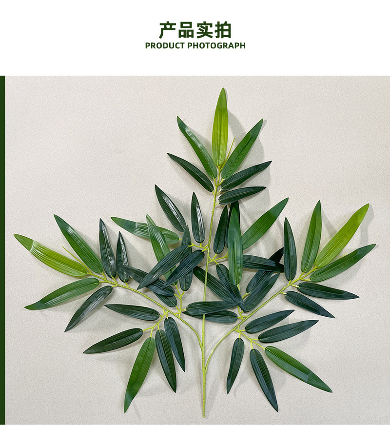 佳裕桂竹_08