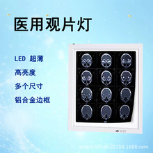 �t���͹ǿƿ�Ƭ����x���zƬ�����^Ƭ�����p����܆��p��