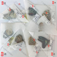 ���ֹ������ս�δ�˱����ս̾�δչ��diy�˱��������b����ԭ����