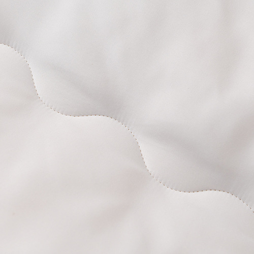 2024 raw cotton camellia thickened quilt soy fiber quilt core winter quilt spring and autumn quilt bedding wholesale