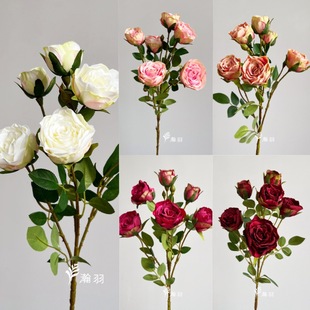 6�^��߅õ����滨 �Ҿӿ͏d�b廨�[����c���ž껨������õ��