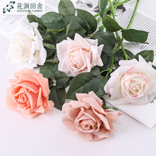 ָбõ廨WҾb̻c辰ٻõ