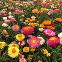 շNϞ޻߲ʴջѿɸл̨҃Դ