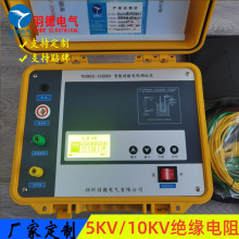 厂家优惠供应数字绝缘电阻测试仪 5000V/10KV 高压兆欧表数字摇表