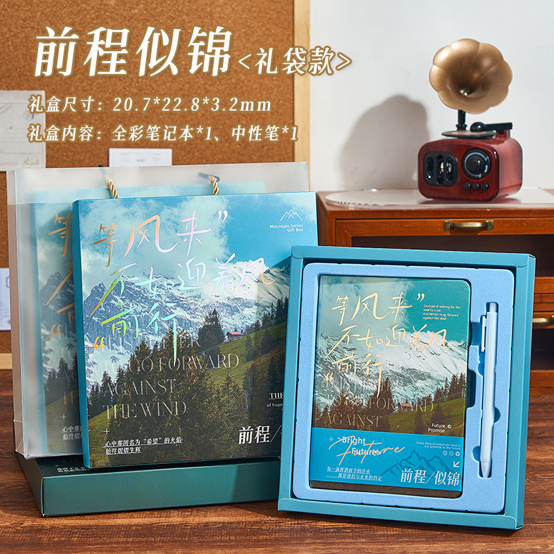 Juhao ノートブックセット ギフトボックス 日記 小学生向け 高価値 シンプル インス風 手元帳 ホットスタンピング|undefined