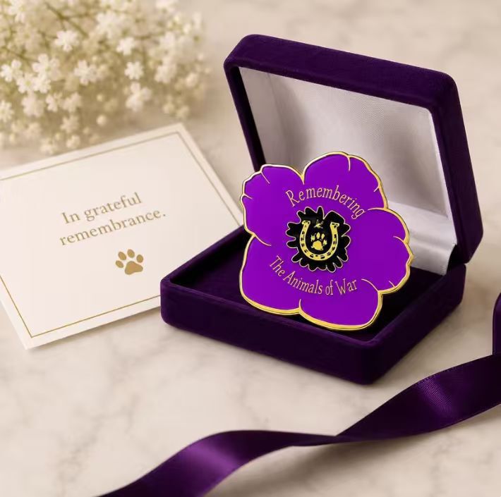 Amazon's fashionable and elegant best-selling new product The Purple Poppy Badge purple commemorative badge