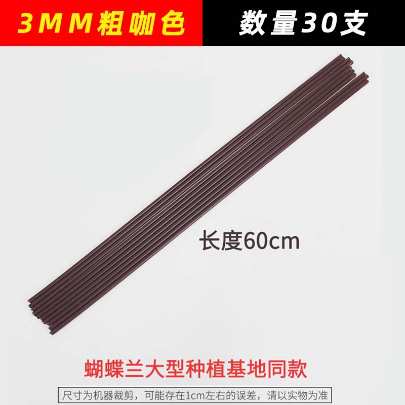 3mm brown 60cm long 30 pieces (comes with protective cap)