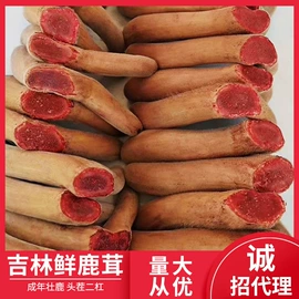 鹿产品;配制酒浸泡酒