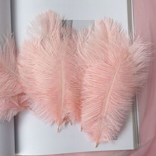 ��ɫ�r�Bë15-20cm��c�[���W�t���b���ë��������diy�����W����