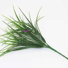 ���漚�L��С���ѲݲݶѲ݈F�ݶ�݅��҃��b��쾰����ݼپGֲ