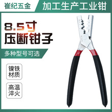 Sҹ 8.5牺Q ڼtմֱ Q ɉQ