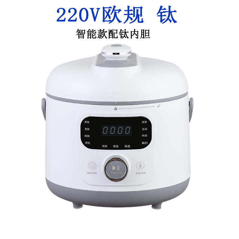 110V高压锅电压力煲1.8L容量11大烹饪功能快煮美规日规欧规英规|undefined