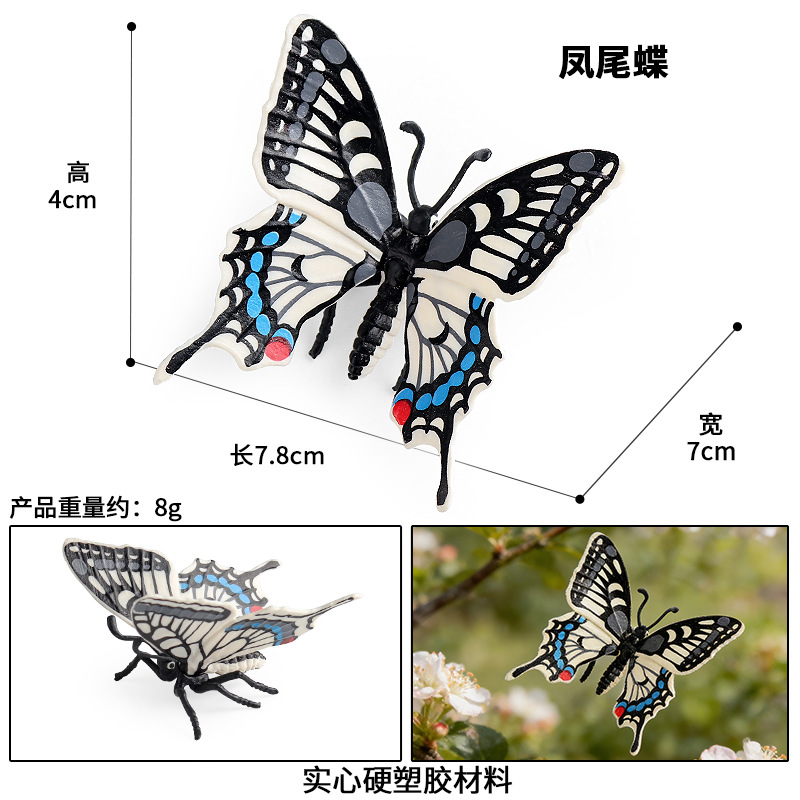 M-3089 phoenix tail butterfly