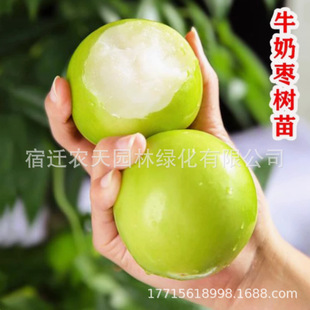 �F؛����ţ���F����������̨��ţ���ۗ����r�O�����𶬗��Ә���