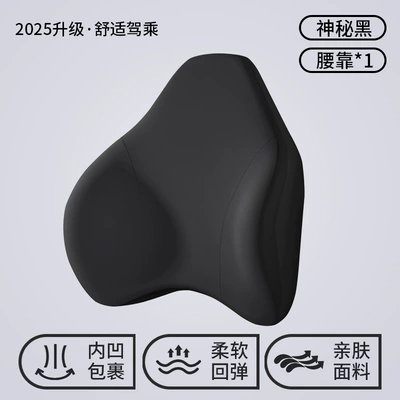 Pillow for Long Sitting, Waist support - mysterious-black-comfortable-style-single-lumbar-support