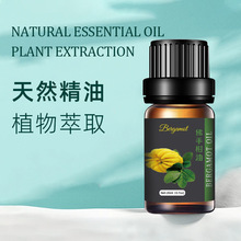 ָ͏SҾԭlָ̆ηow޹ֲ