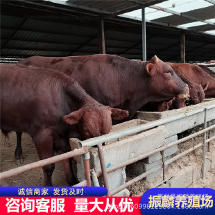 �ؑc�Bֳ��ľٝ������ţ ����������ţ�كr�� ��ľٝţС��ţ��