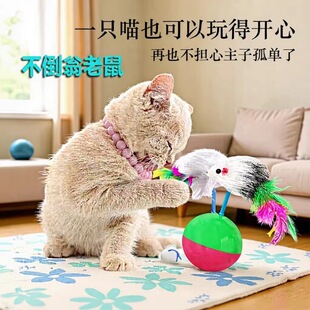 �S��؈�����������ë�q���󲻵����؈�以���������؈�������