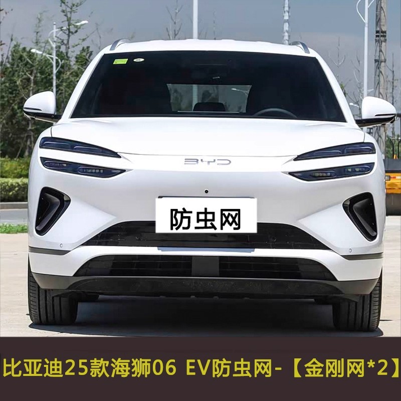 Suitable for Byd 25 Model Sea Lion 06 Ev Dmi Car Insect-Proof Net, Water Tank Protective Net, Dust-Proof and Lint-Proof Mesh
