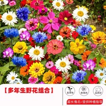 ͺ갫ҰMϲ˹շNļ׷NɣͥԺղ