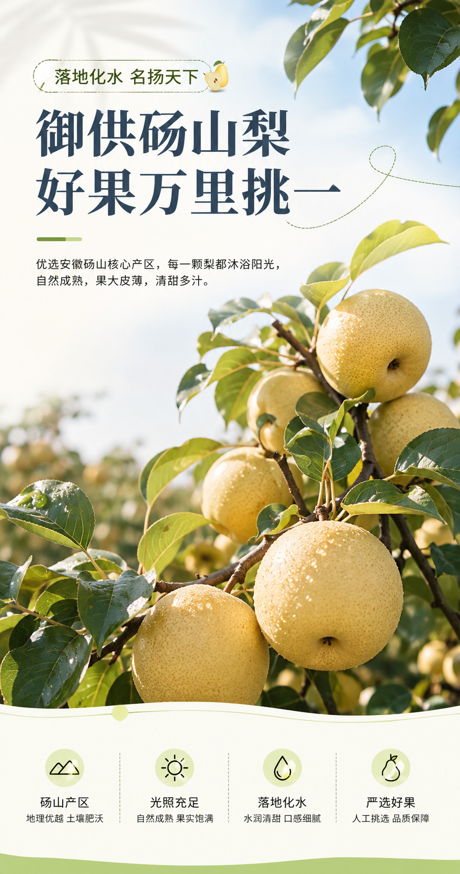 Pure Pear Paste Chun Li Gao 100g Box Traditional Slow-Cooked Dangshan Pear Syrup for Autumn Winter Drinks key features