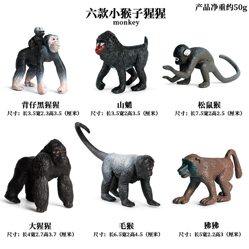 Cognitive realistic marine animal model, dinosaur, toy