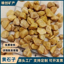中国黄石子透水地坪用水磨石水洗石庭院铺路造景用黄色石子沙石