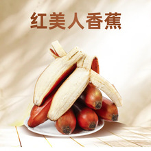 �t�����㽶5�ﮔ��ˮ���FժС�㽹���r�tƤ�Ž��׽����l������]