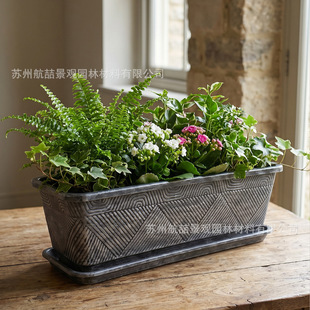 �L���λ����̖���~ɫ��֬�Ӻ��̨�Nֲ��ɻ�˯ɏ�L�l�N�˻���