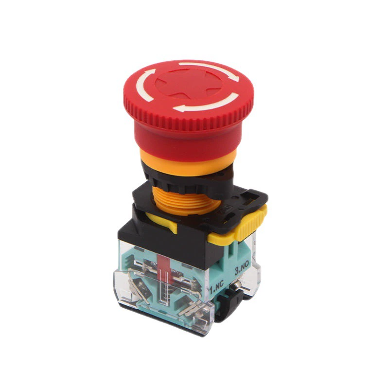 Switch key with clove mushrooms, button, 38, 22mm, switch box