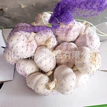����26����ڼ����r���� ɽ�|܎��ʳƷ���⹤�S �հ״��⼃�״���