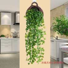 �L�����~��ɽ���ڒ�ֲ���bٻ��ٗl�Gֲ�������G�}���{���@